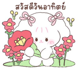 ลายที่ 77