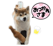 830973402