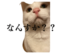 831035652