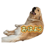 831058541