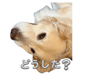 831058545