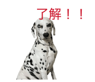 831058762
