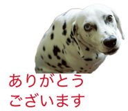 831058763