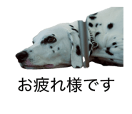 831058764