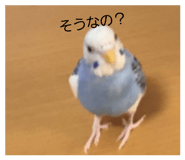 831059894
