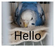 831059897