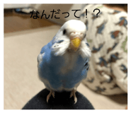 831059899