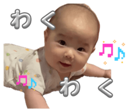 831067981