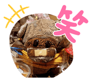 831075486
