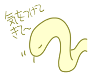 831101962