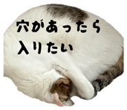 831105747
