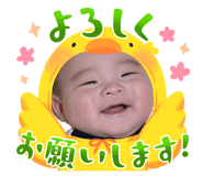 831107866