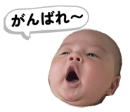 831108459
