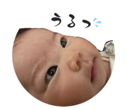 831110381