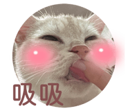 831121902