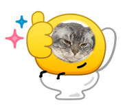 831122784