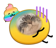 831122785