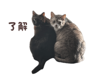 831126980