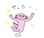 831127052