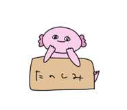 831127060