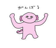 831127069