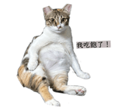831139714