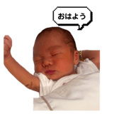 831142232
