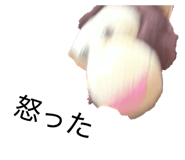 831146539