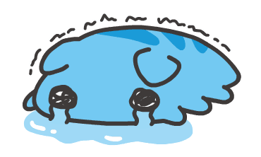 ลายที่ 29