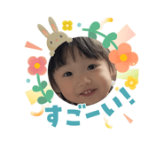 831155553