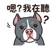831156057