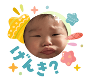 831156337