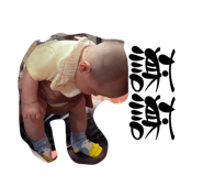 831156617