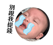 831156636