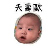 831156642