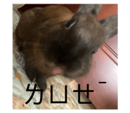 831158624