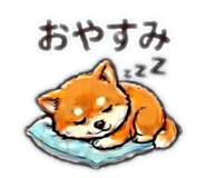 831161344