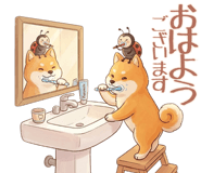 831162117