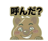 831163297