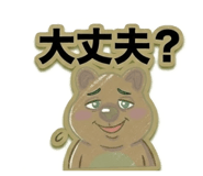 831163312