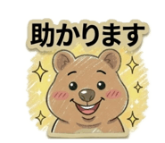 831163594