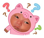 831166627