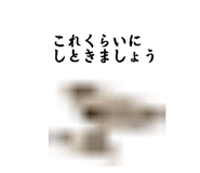 831170608