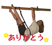 831173255
