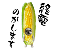 831180169