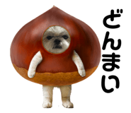 831180178