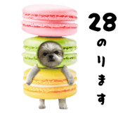 831180181