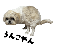 831180188