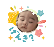 831183080
