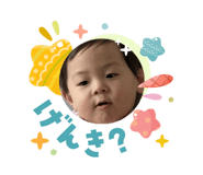 831183253